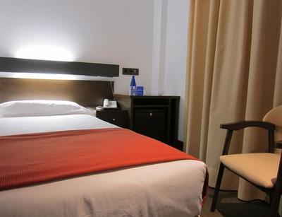 Domus Plaza Zocodover Hotel