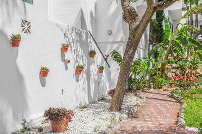Royal Oasis Club at Pueblo Quinta