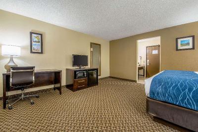 Spark by Hilton Matteson Chicago I 57