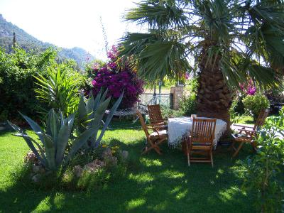 Papirus Hotel