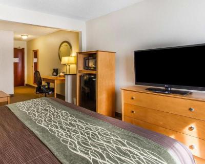 Comfort Inn Oklahoma City South - I-240