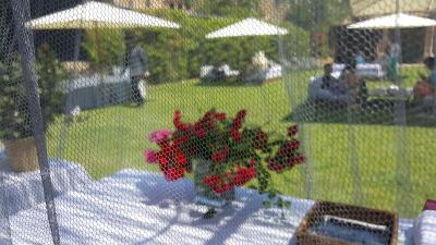 Del Teatre