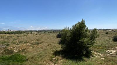 Hostal Pensimar
