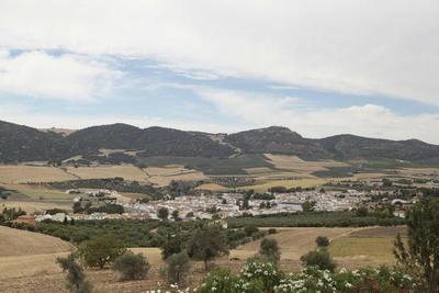 Arriadh Hotel