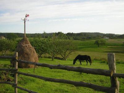 La Llosa De Fombona