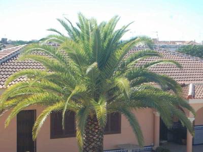 Hotel Matalascañas