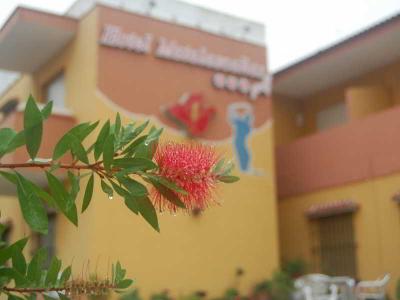 Hotel Matalascañas