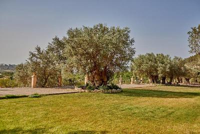 Agroturismo Alquería Blanca
