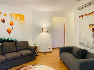Super Balmes Iii