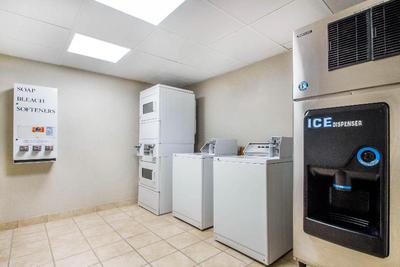 Holiday Inn Express & Suites Albany Airport - Wolf