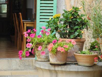 Casa Bougainvillea