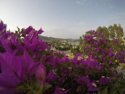 Panorama Hotel Bodrum