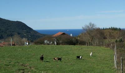 Casa Rural Arboliz