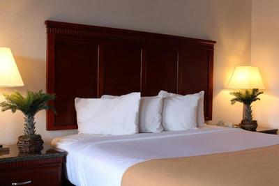 Rodeway Inn Santa Clara