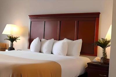 Rodeway Inn Santa Clara