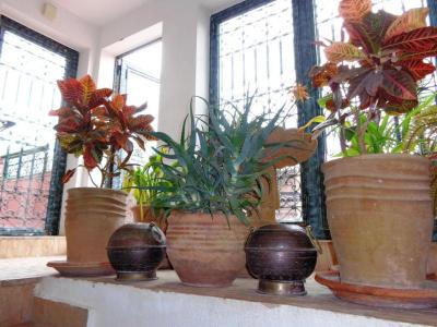 Riad Sesame