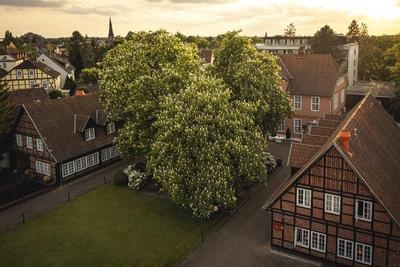 Althoff Furstenhof Celle