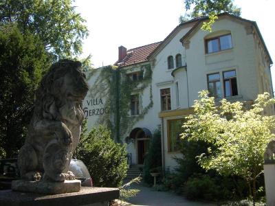 Hotel Villa Herzog