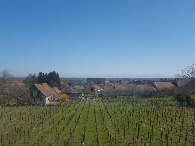 James Vignoble Hotel Eguisheim