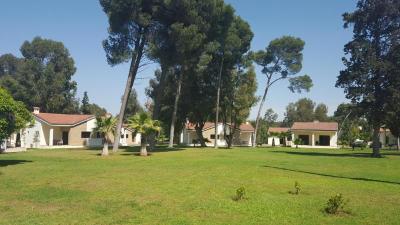 Bungalows Diamant Vert