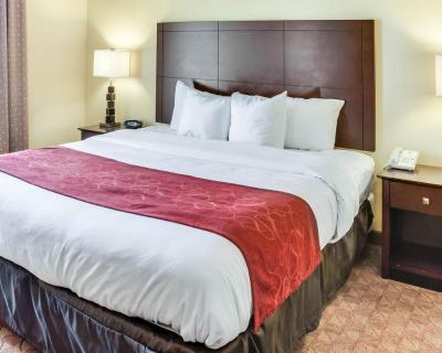 Comfort Suites Suffolk - Chesapeake