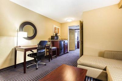 Comfort Inn & Suites Ballpark Area