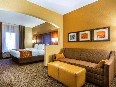 Comfort Suites North Minneapolis