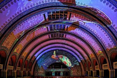 St. Louis Union Station Curio Collection by Hilton