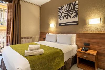 Hotel Aneto