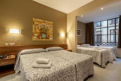 Hotel Aneto