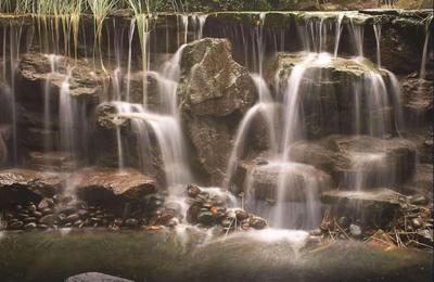 Country Inn & Suites, Portland Interna