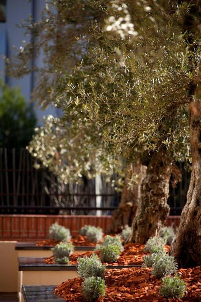 Renaissance Aix En Provence