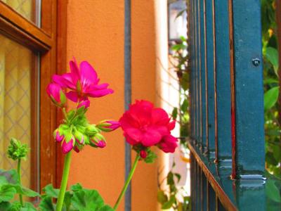 Hotel Mairena