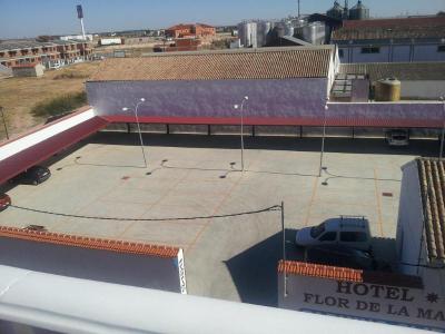 Flor De La Mancha
