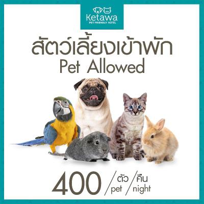 Ketawa Pet Friendly Hotel