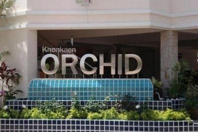 Khon Kaen Orchid