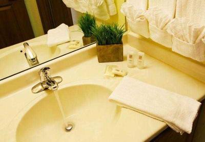 TownePlace Suites Detroit Livonia