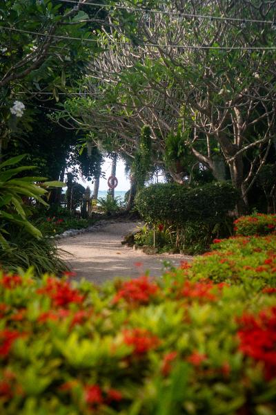 Phangan Beach Resort