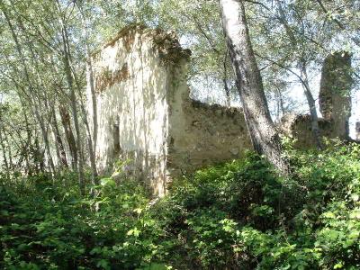 Pago del Vicario