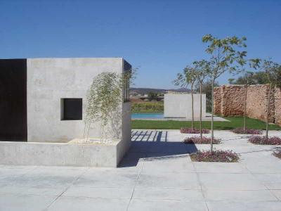Pago del Vicario
