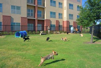 Residence Inn Dallas Plano/The Colony