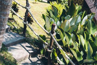 Railay Garden View Resort