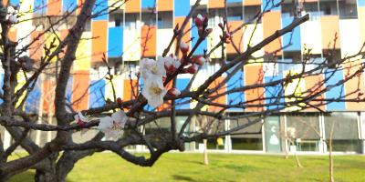Centre Esplai Hostel