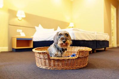 Inselhotel Potsdam
