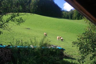 Alpenhotel Beslhof