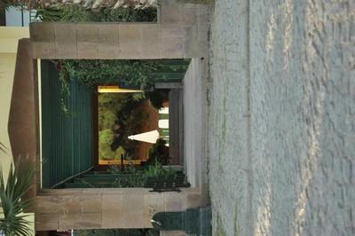 Palm Court Suites