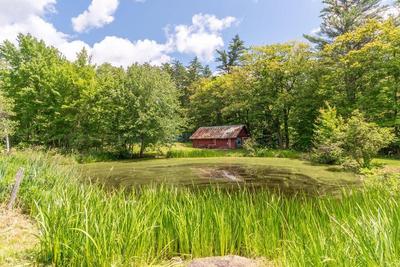 Cranmore Mountain Lodge