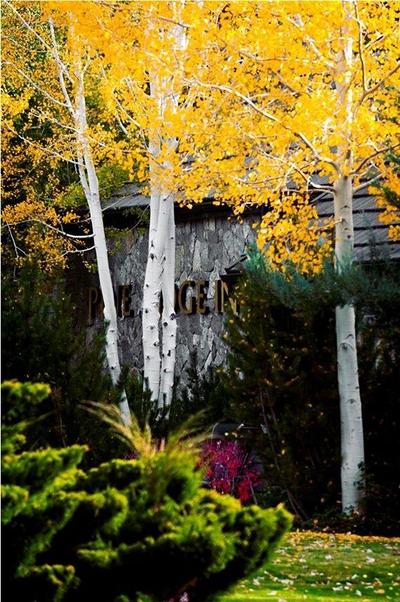Pine Ridge Inn