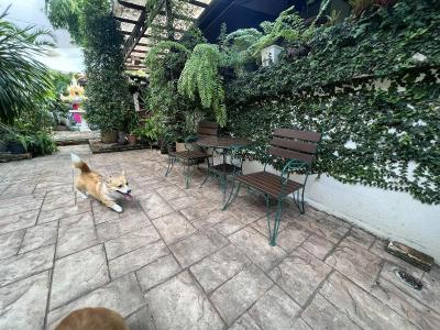 Pha Thai House