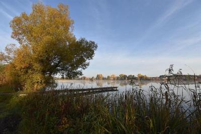 Seeblick